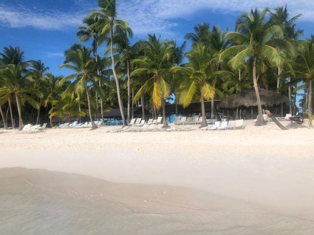 Palm beach scene in the Dominican Republic