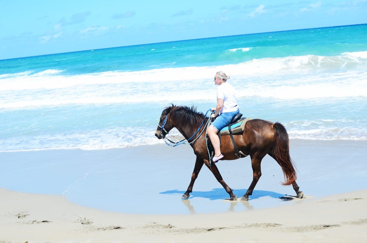 Horseback riding experience on a Punta Cana beach