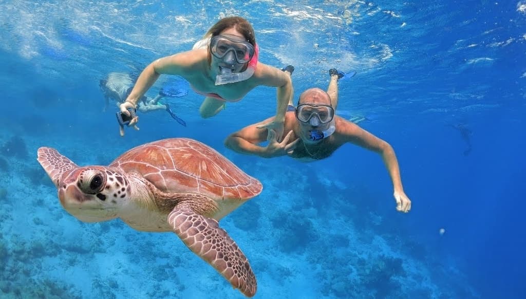 Catalina Island Dominican Republic snorkeling in clear blue water